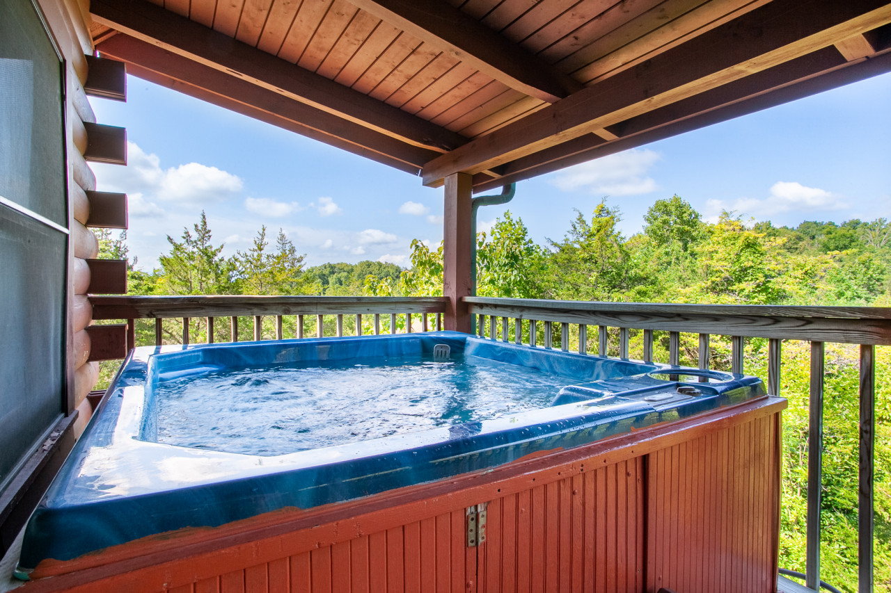 Property Image 1 - Laketown Bears - Pool Table & Hot Tub!