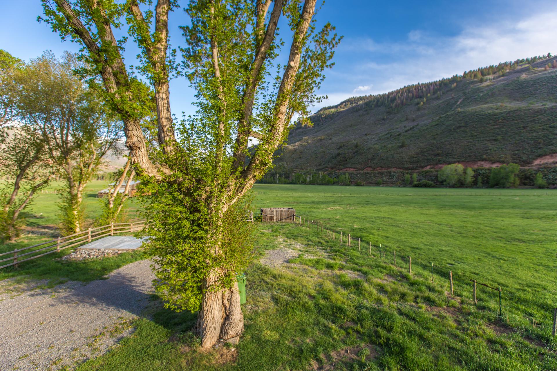 Cozy Farm-Style Home - Stunning Views from the Valley - 10 Mins to Ouray