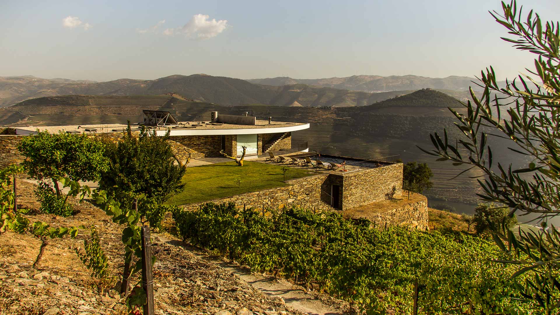Property Image 1 - Vineyard Home Flying High over the Douro River