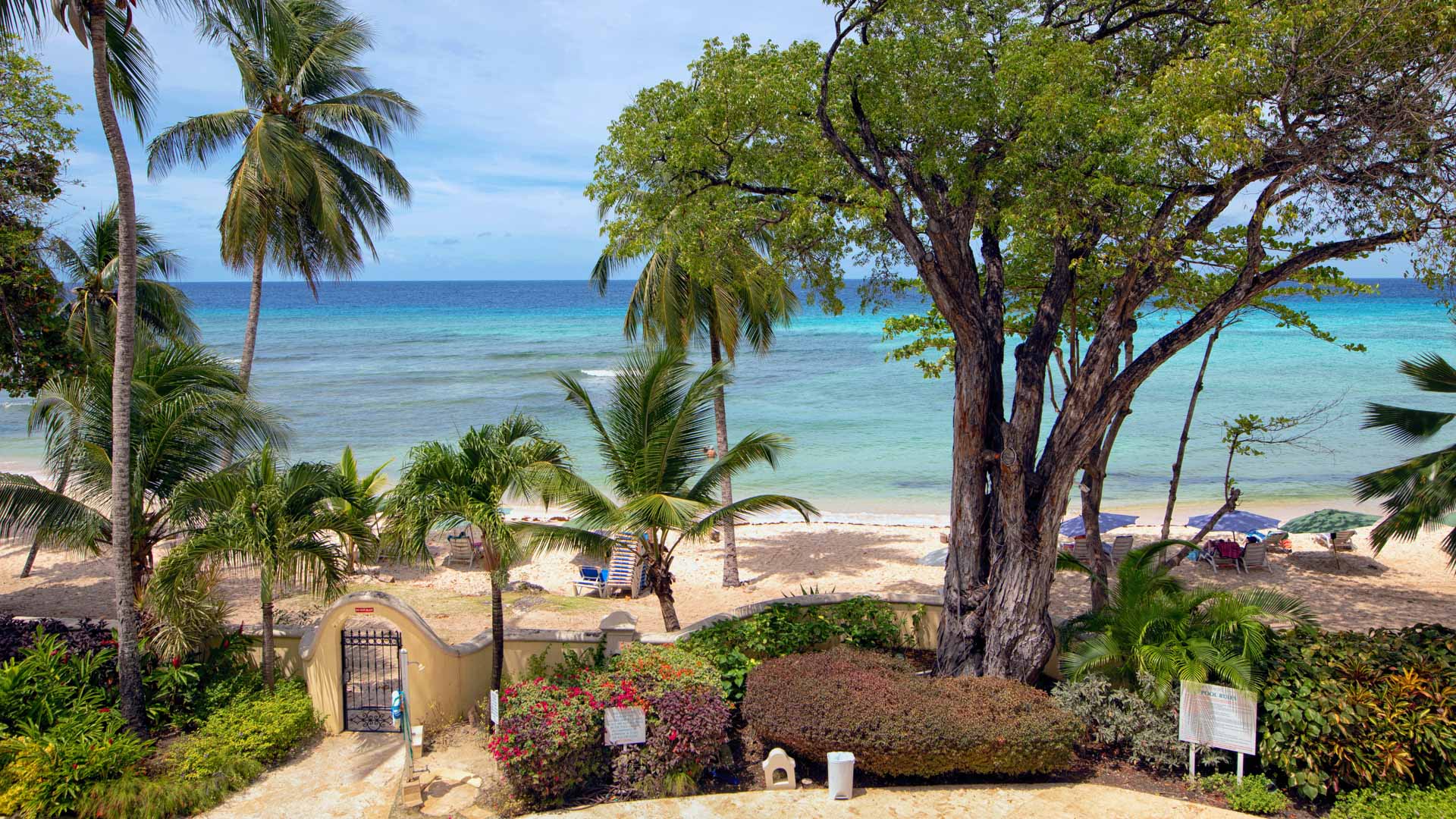 Property Image 1 - Fresh Sea View Barbados Rental Apartment