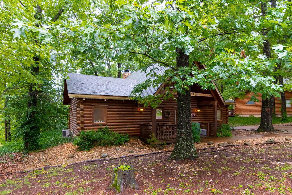 Property Image 2 - Dogwood Tree Cabin