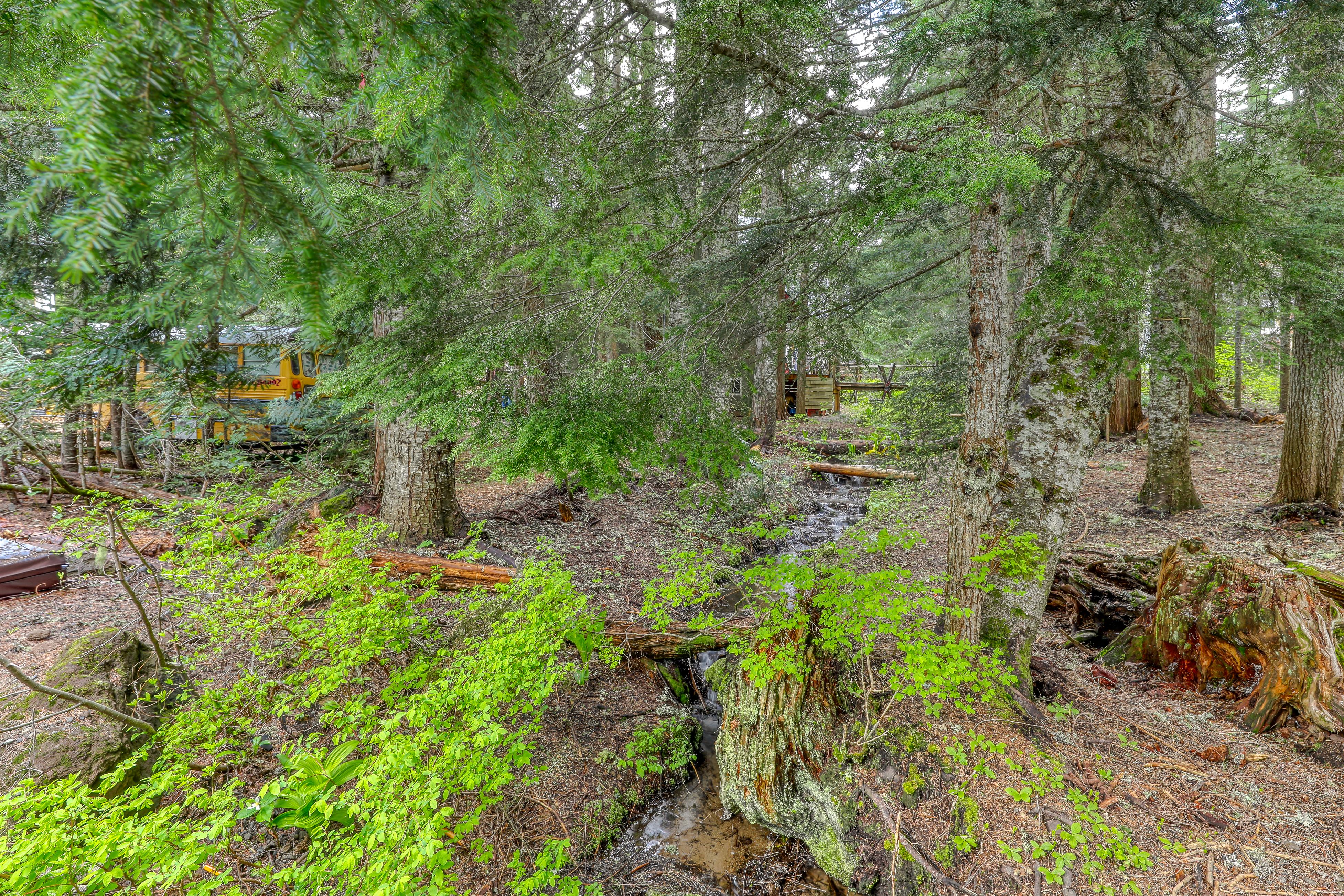 Property Image 2 - Little Bear Cabin