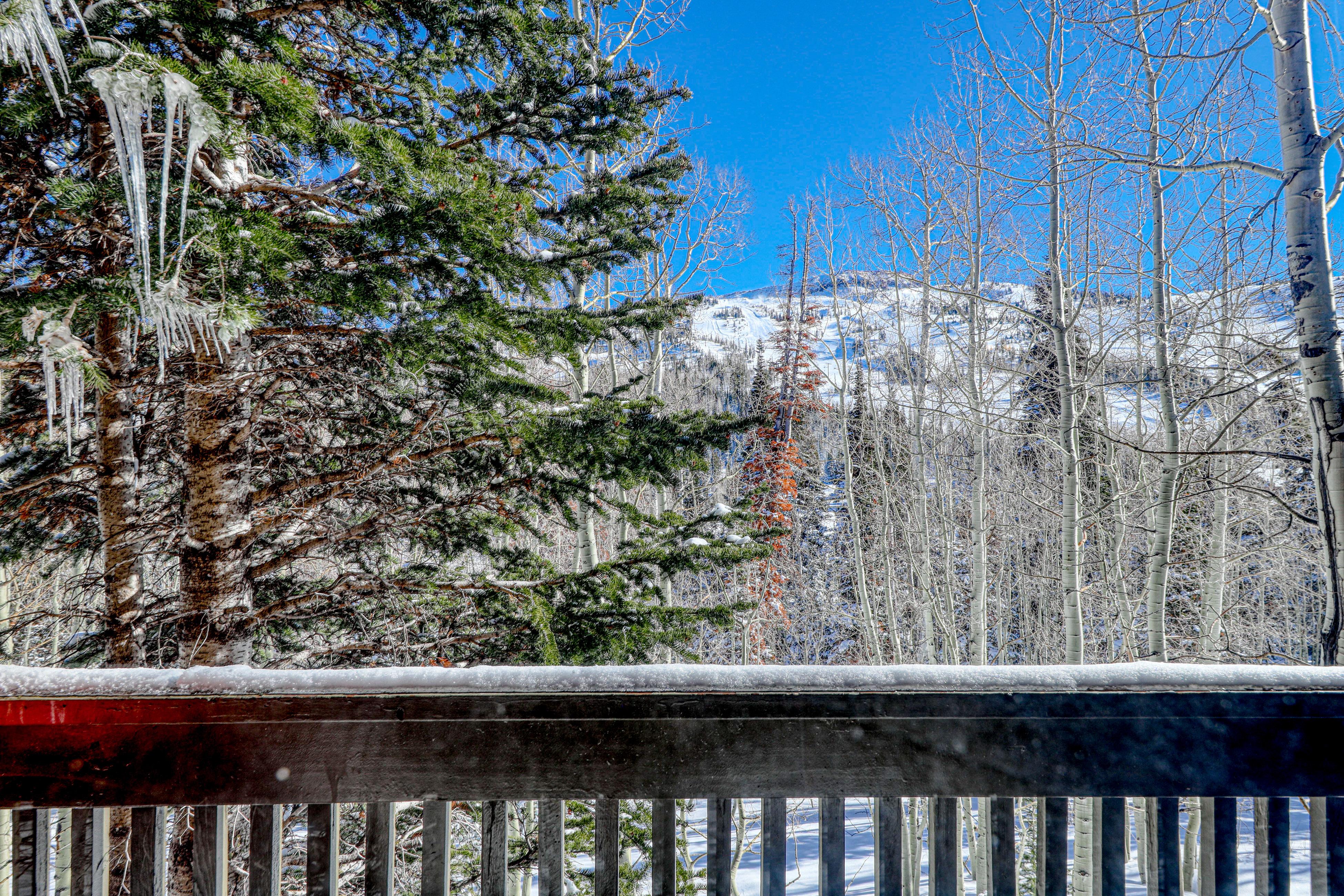 Property Image 2 - The Ridges #H2 - Skiers Delight
