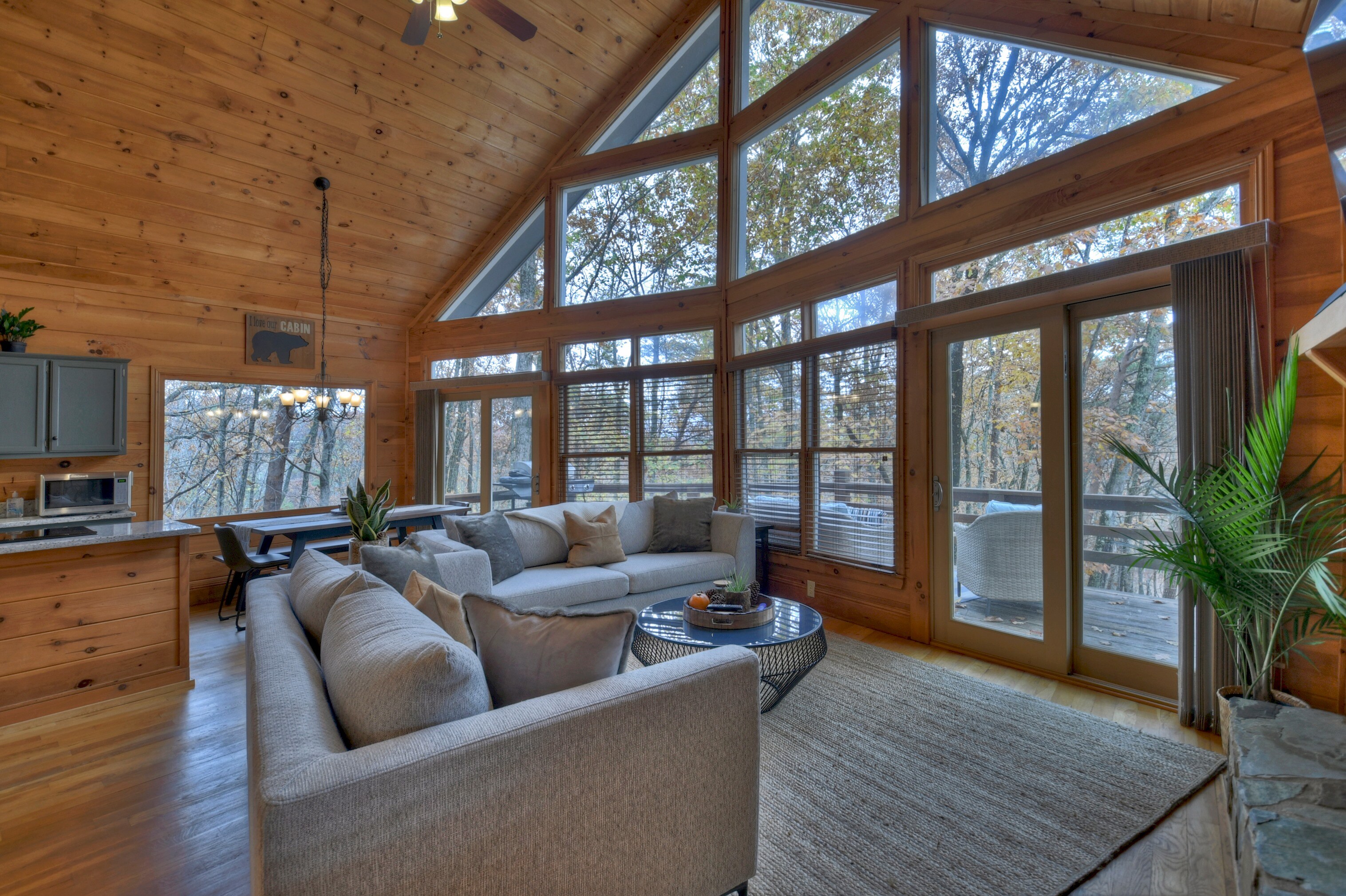 Property Image 1 - Beautiful Renovated Cabin in Blue Ridge Mountains