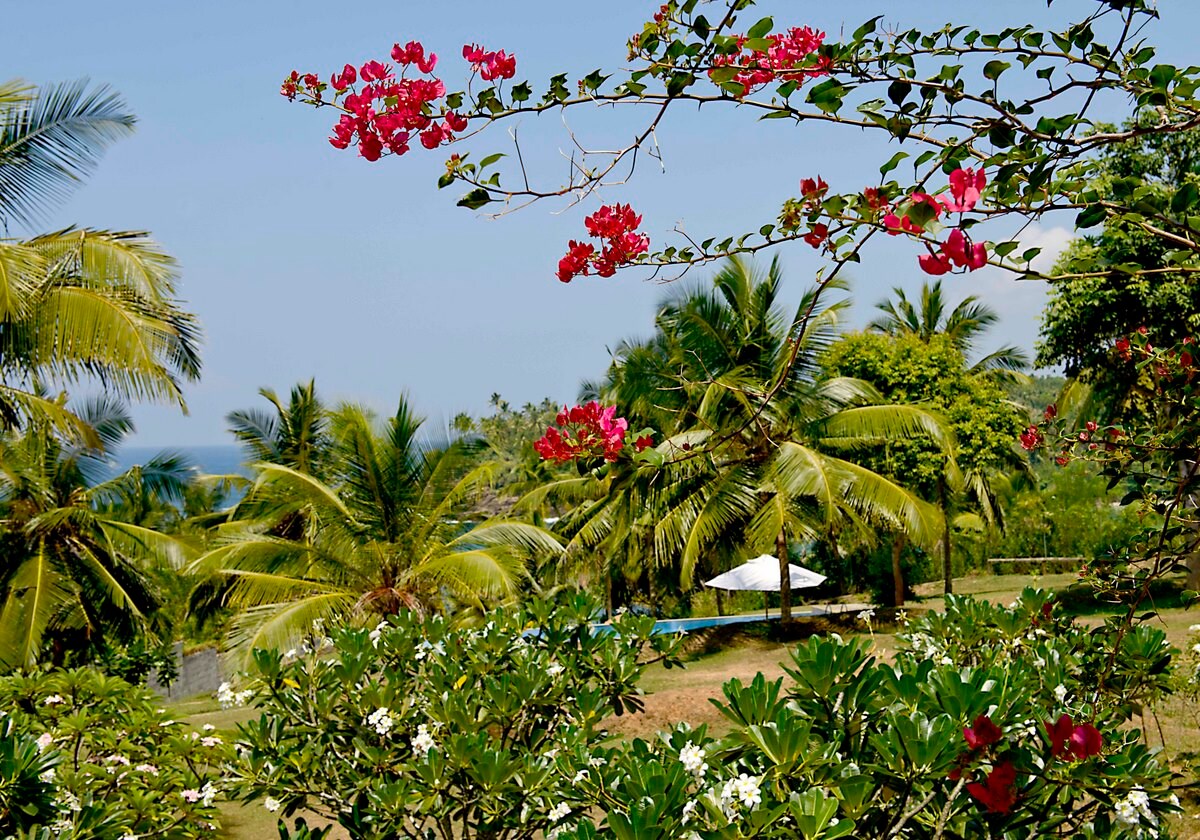 Property Image 2 - Family beach villa with 4 bedrooms overlooking the surf horseshoe Hiriketiya beach 