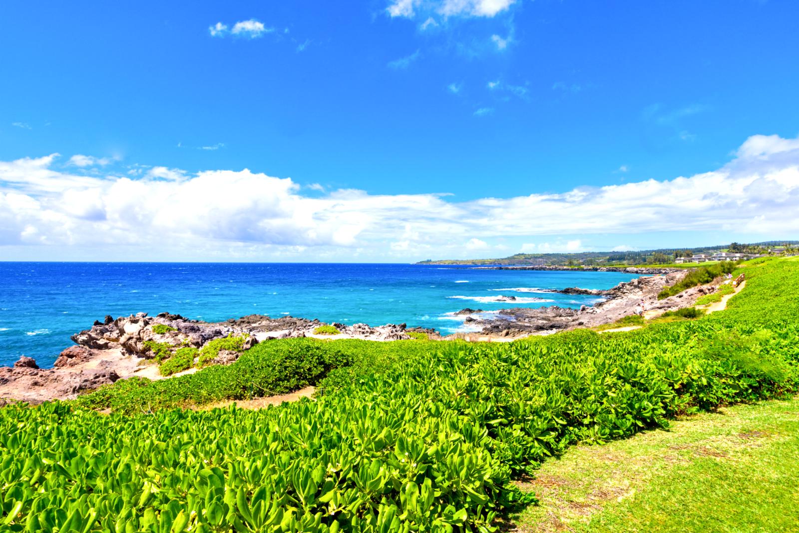 View along the Kapalua Coastal Trail, just steps from your patio!