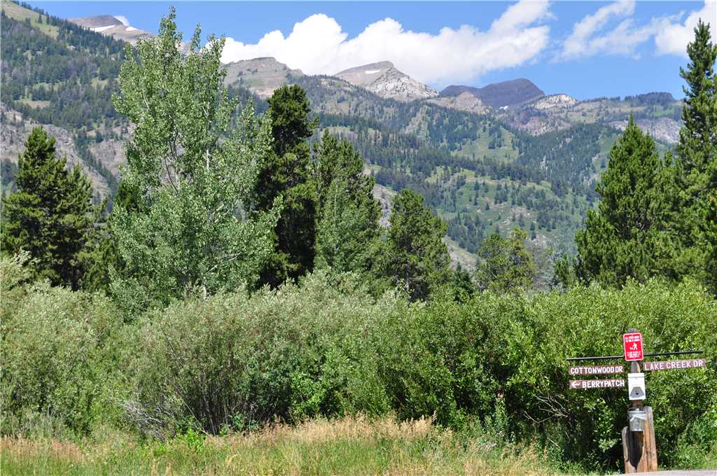 Berry Patch Entrance and View Berry Patch Entrance and View